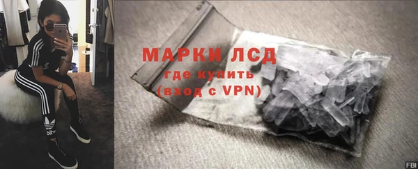 хмурый Магас