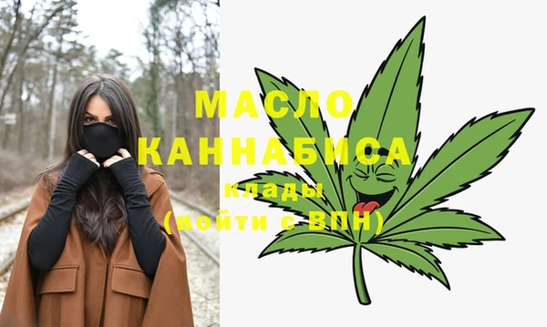 хмурый Магас