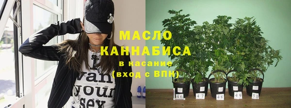хмурый Магас