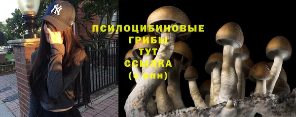 apvp Майский
