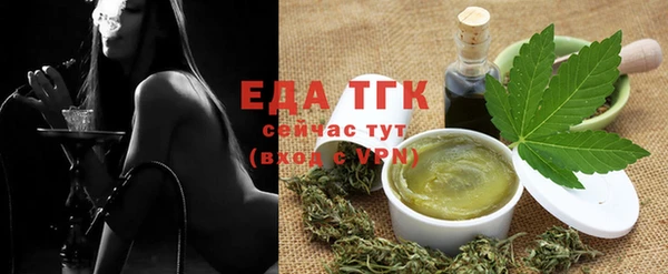 хмурый Магас