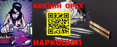 сатива Аргун