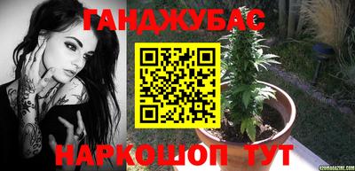 сатива Аргун