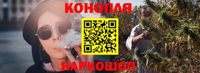 сатива Аргун