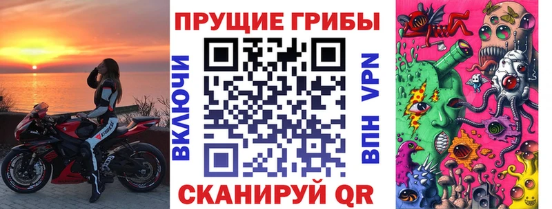 Псилоцибиновые грибы мицелий  кракен рабочий сайт  Георгиевск  наркота 