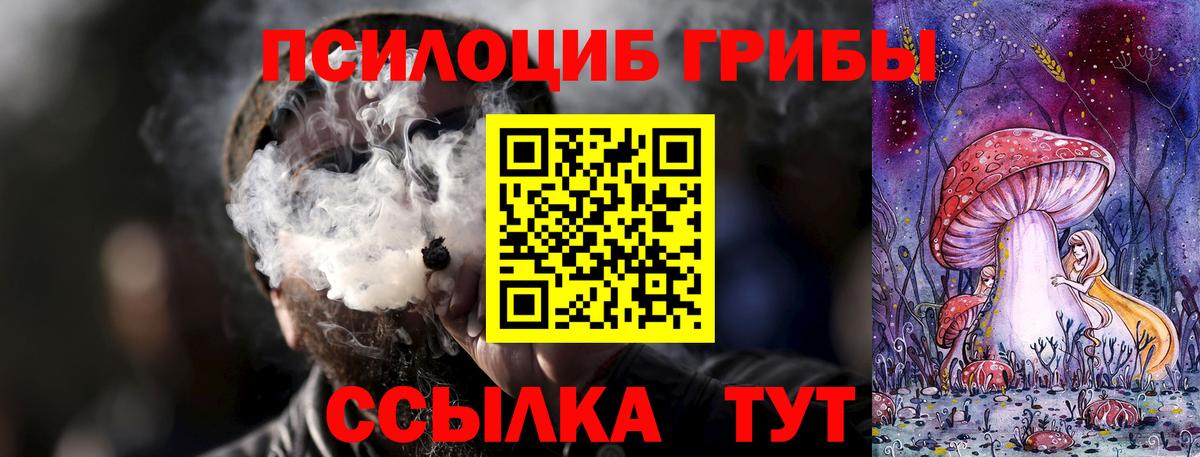 Псилоцибиновые грибы мицелий Георгиевск