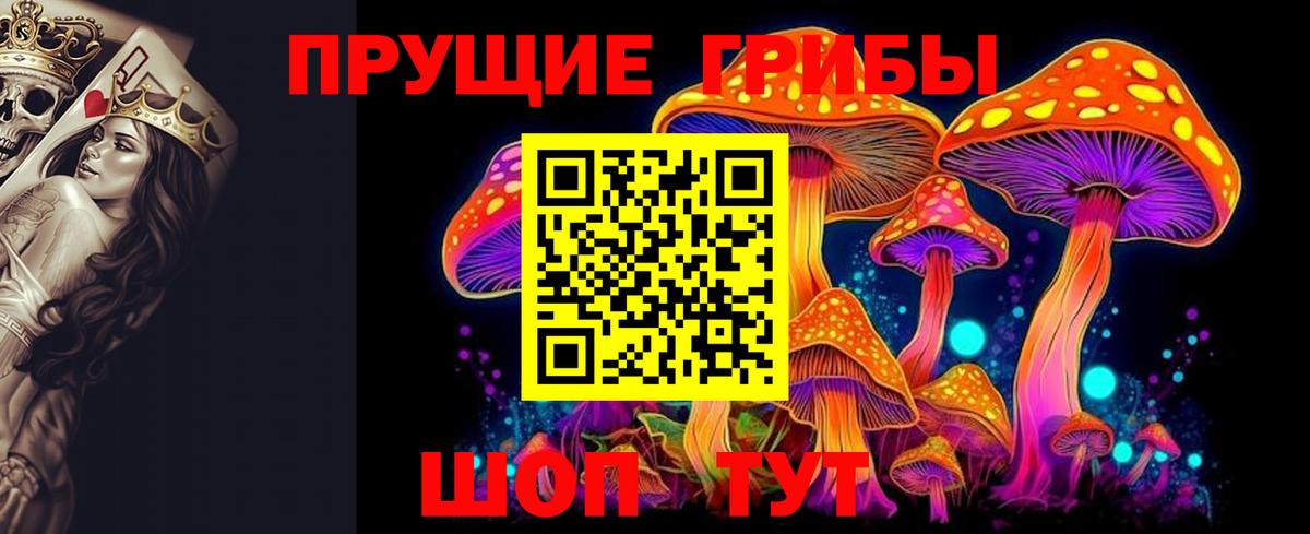 Галлюциногенные грибы мухоморы  Вход с VPN  Георгиевск  Галлюциногенные грибы мухоморы 